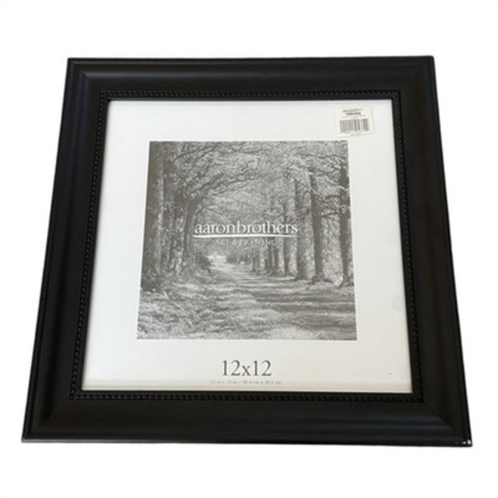 Aaron Brothers Verona Black Picture Frame 12x12 Wall Decor New